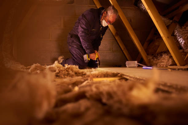 Types of Insulation We Offer in Antelope, CA